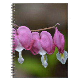 Bloeding Hartaandoeningen Notitieboek