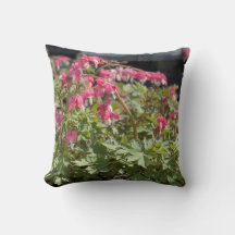 Bloeding Hartaandoeningen Sierkussen