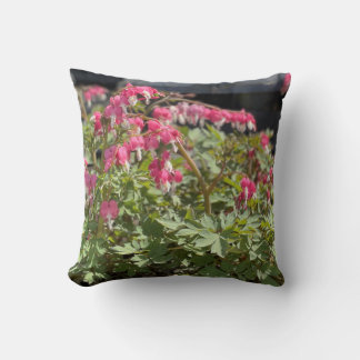 Bloeding Hartaandoeningen Sierkussen