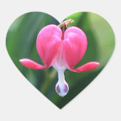 Bloeding Hartbloem Enveloppendoekjes Hart Sticker (Voorkant)