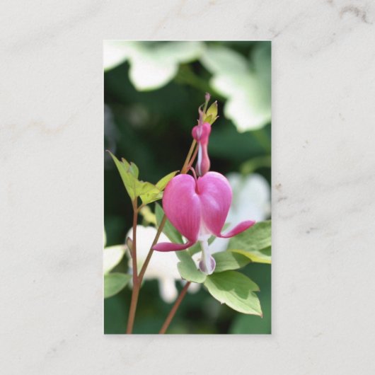 Bloeding Hartbloem Fotografie Visitekaartje (Achterkant)