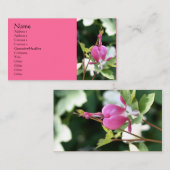 Bloeding Hartbloem Fotografie Visitekaartje (Voorkant / Achterkant)