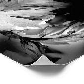 bloeding hartbloemen in zwart-wit Abstract Poster (Hoek)