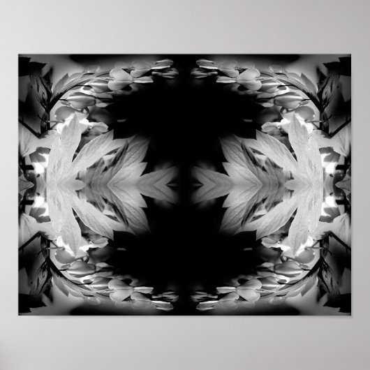 bloeding hartbloemen in zwart-wit Abstract Poster (Voorkant)