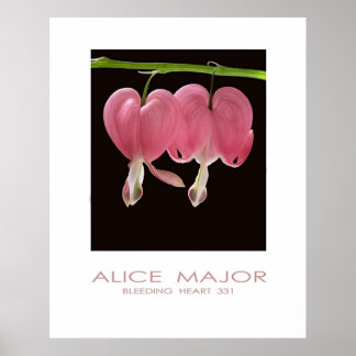 Bloeding Harten 331 Poster