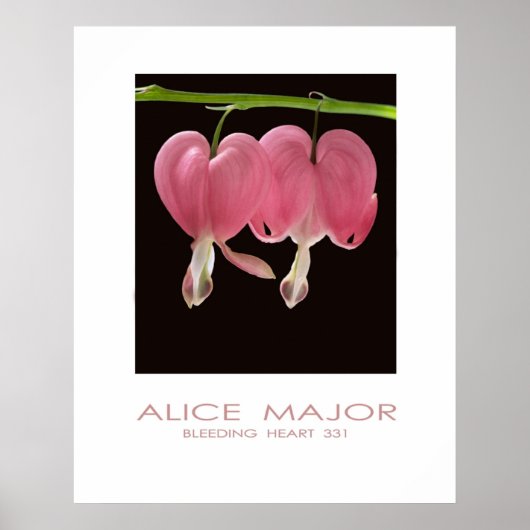 Bloeding Harten 331 Poster (Voorkant)