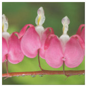 Bloeding Harten in de Regenstructuur Stof (Swatch)