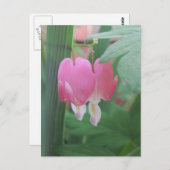 bloeding harten~ twee harten briefkaart (Voorkant / Achterkant)