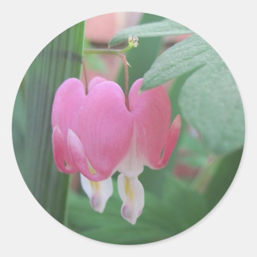bloeding harten~ twee harten ronde sticker (Voorkant)