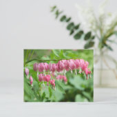 Bloeding Hartfoto Briefkaart (Staand voorkant)