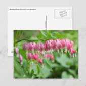 Bloeding Hartfoto Briefkaart (Voorkant / Achterkant)