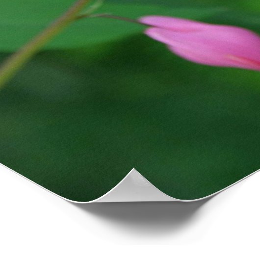 Bloeding Hartslag Poster (Hoek)