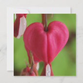 Bloeding Hearts Wedding Invitatie Kaart (Achterkant)