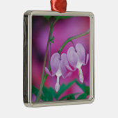 bloeding in de tuin. Krediet Metalen Ornament (Rechts)