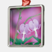 bloeding in de tuin. Krediet Metalen Ornament (Links)