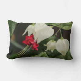 Bloeding van hartbloem lumbaal kussen