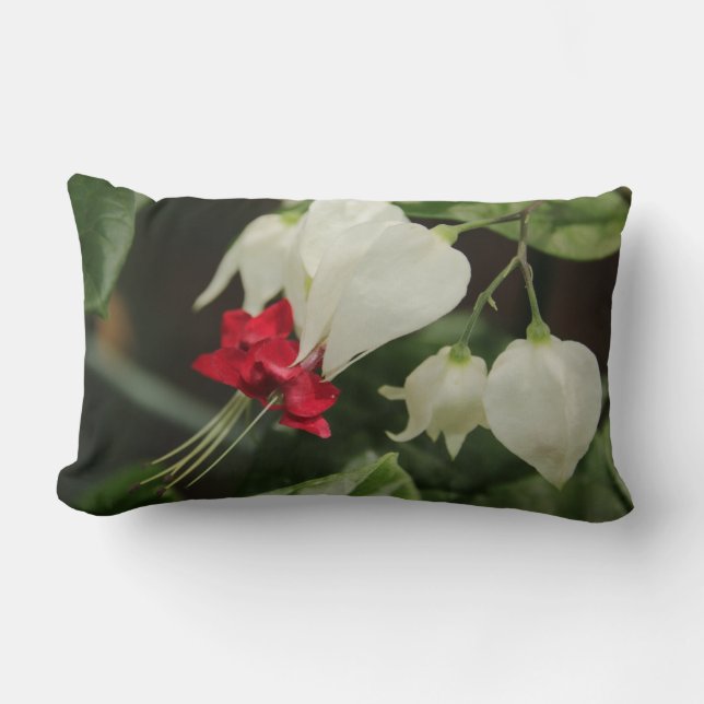 Bloeding van hartbloem lumbaal kussen (Voorkant)