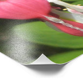 Bloedingen Hart Kodak Satijn Foto Print Foto Afdruk (Hoek)