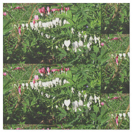 Bloedingen Hartenroze witte foto Stof