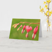 Bloedingen Hartkanker/Ernstige Illness Support Kaart (Gele Bloem)