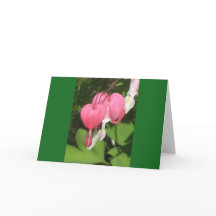 Bloedingshart - Landschap Wenskaart