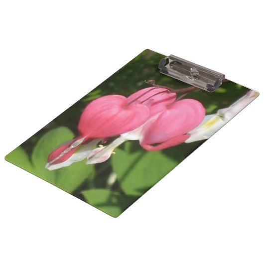 Bloedingshart - Stevig Acryl Klembord (Gekanteld)