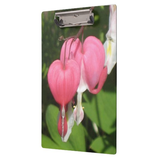 Bloedingshart - Stevig Acryl Klembord (Links)