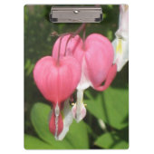 Bloedingshart - Stevig Acryl Klembord (Voorkant)