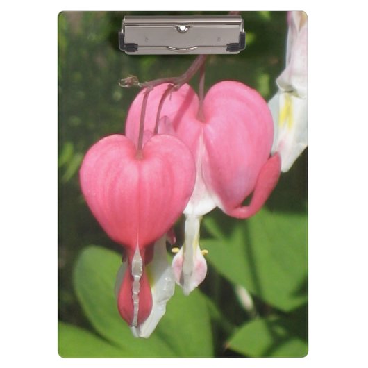 Bloedingshart - Stevig Acryl Klembord (Voorkant)