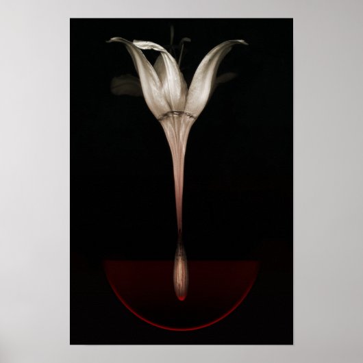 Bloedkalk 2013 poster (Voorkant)