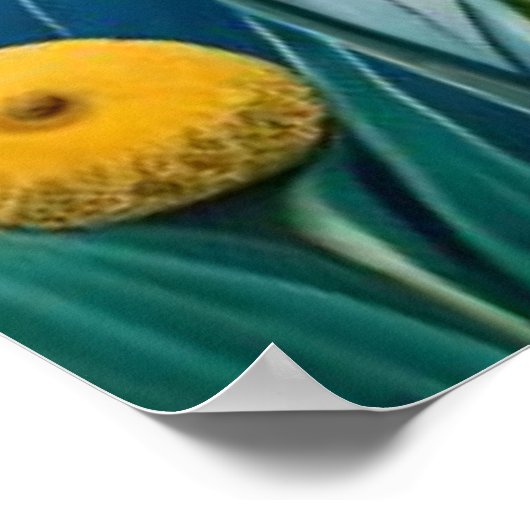 Bloedkat Poster (Hoek)