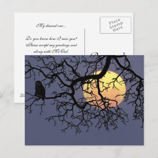 Bloedmaaltijd en nachtknobbels in Tree Silhouette Briefkaart (Voorkant / Achterkant)