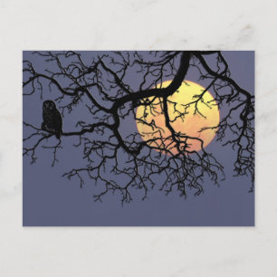 Bloedmaaltijd en nachtknobbels in Tree Silhouette Briefkaart