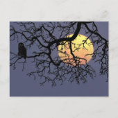 Bloedmaaltijd en nachtknobbels in Tree Silhouette Briefkaart (Voorkant)