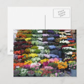 Bloedmarkt Briefkaart (Voorkant / Achterkant)