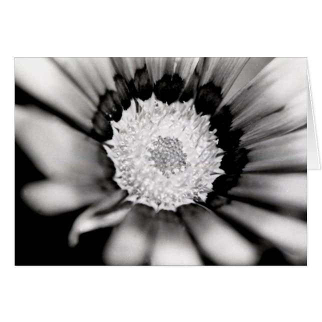 Bloedonderzoek (Voorkant Horizontaal)