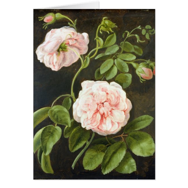 Bloedonderzoek (Voorkant)