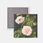 Bloedonderzoek Magneet (Voorkant / Achterkant)