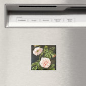 Bloedonderzoek Magneet (Insitu (Vaatwasser))