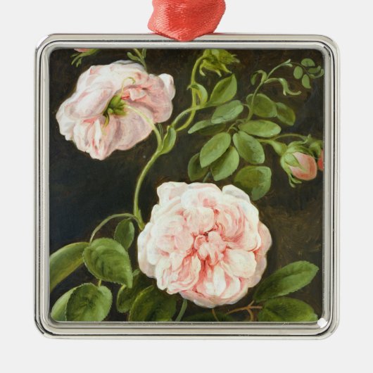 Bloedonderzoek Metalen Ornament (Voorkant)