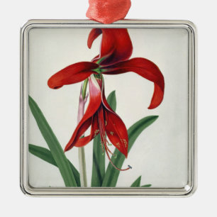 Bloedonderzoek Metalen Ornament