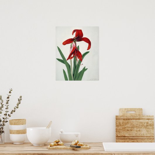 Bloedonderzoek, Poster (Keuken)