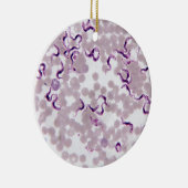 Bloedparasiet Trypanosoma Keramisch Ornament (Rechts)