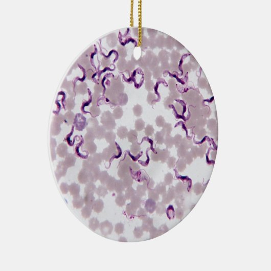 Bloedparasiet Trypanosoma Keramisch Ornament (Rechts)