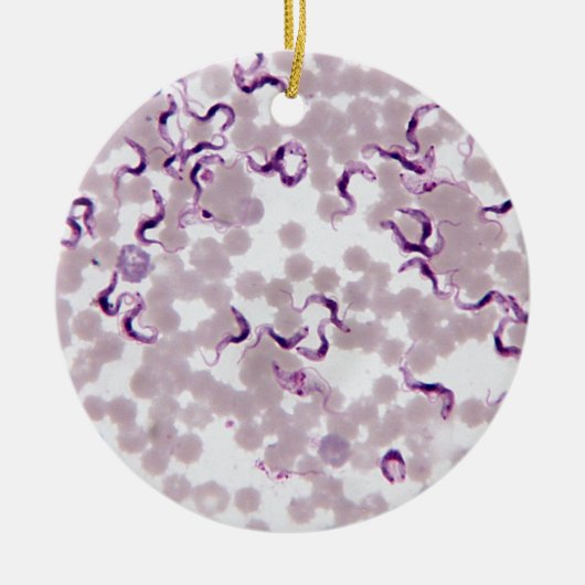 Bloedparasiet Trypanosoma Keramisch Ornament (Voorkant)