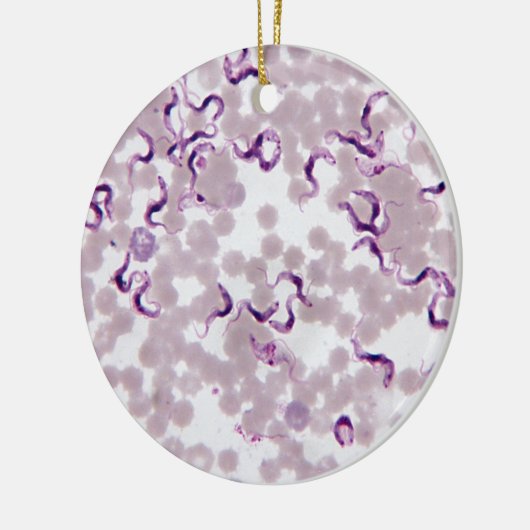 Bloedparasiet Trypanosoma Keramisch Ornament (Links)