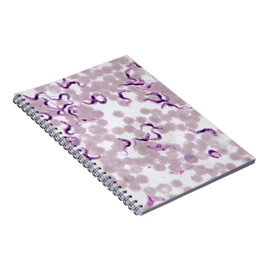 Bloedparasiet Trypanosoma Notitieboek (Rechterzijde)