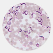 Bloedparasiet Trypanosoma Ronde Sticker (Voorkant)