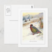Bloedpatroon van de gebruiker briefkaart (Voorkant / Achterkant)