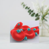 Bloedplaatjes met rode bloedcellen 1 briefkaart (Staand voorkant)